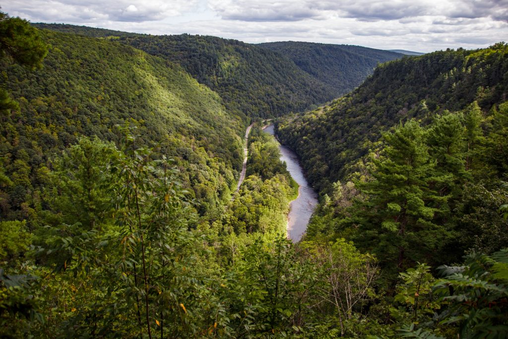 Mountain Notary Poconos Tag and Title Specialist